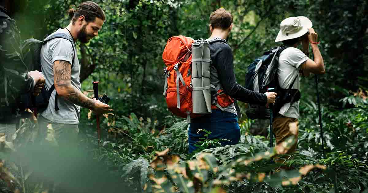 group of friends are going for outdoor adventure in a forest